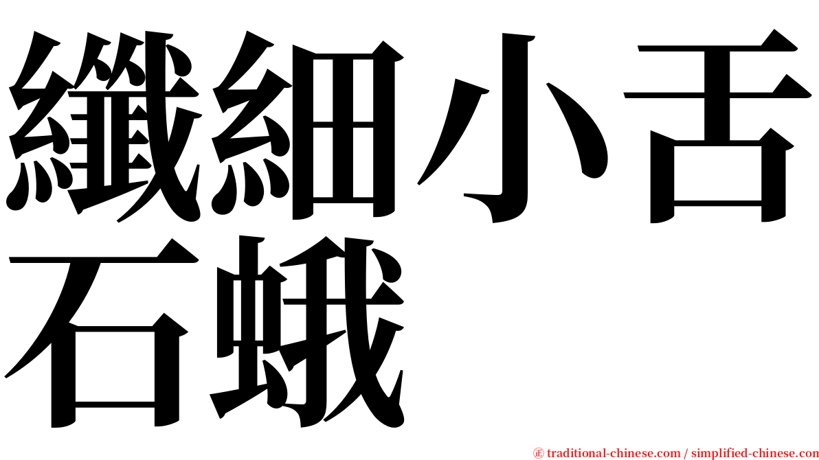 纖細小舌石蛾 serif font