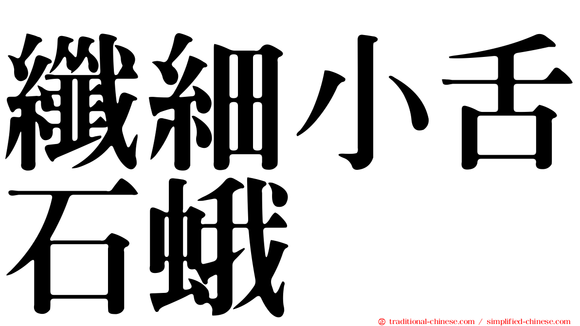 纖細小舌石蛾