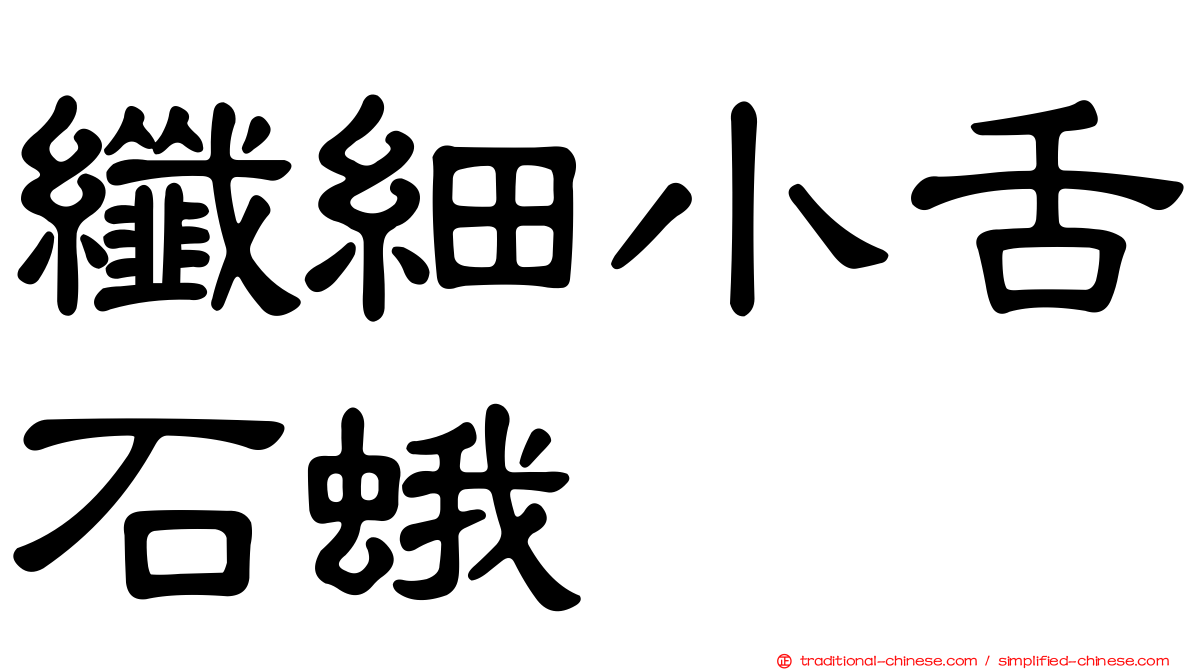 纖細小舌石蛾