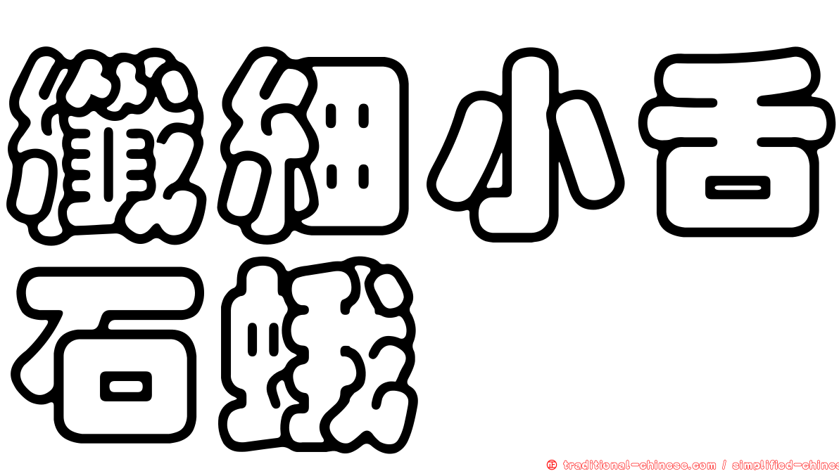 纖細小舌石蛾