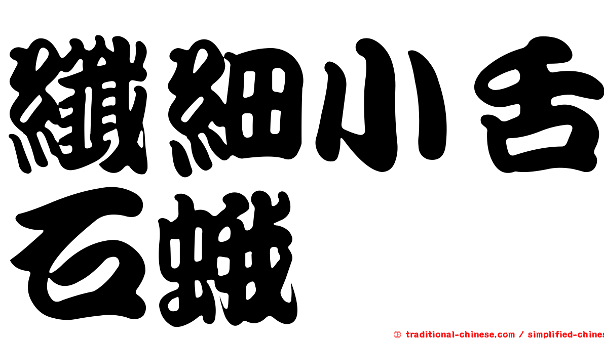 纖細小舌石蛾