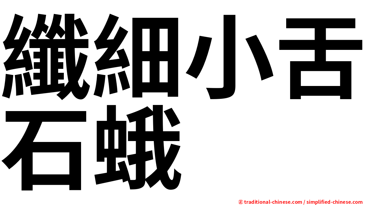 纖細小舌石蛾