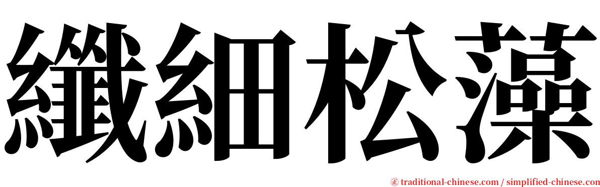 纖細松藻 serif font