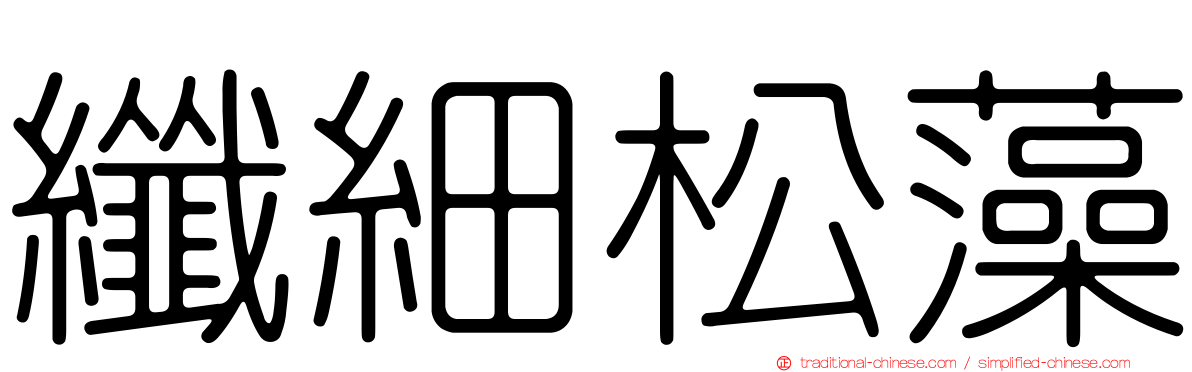 纖細松藻