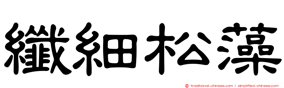 纖細松藻