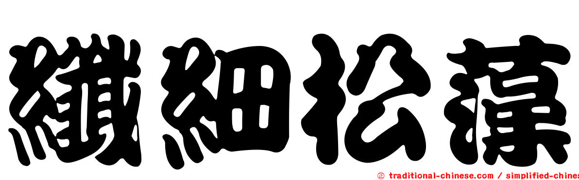 纖細松藻