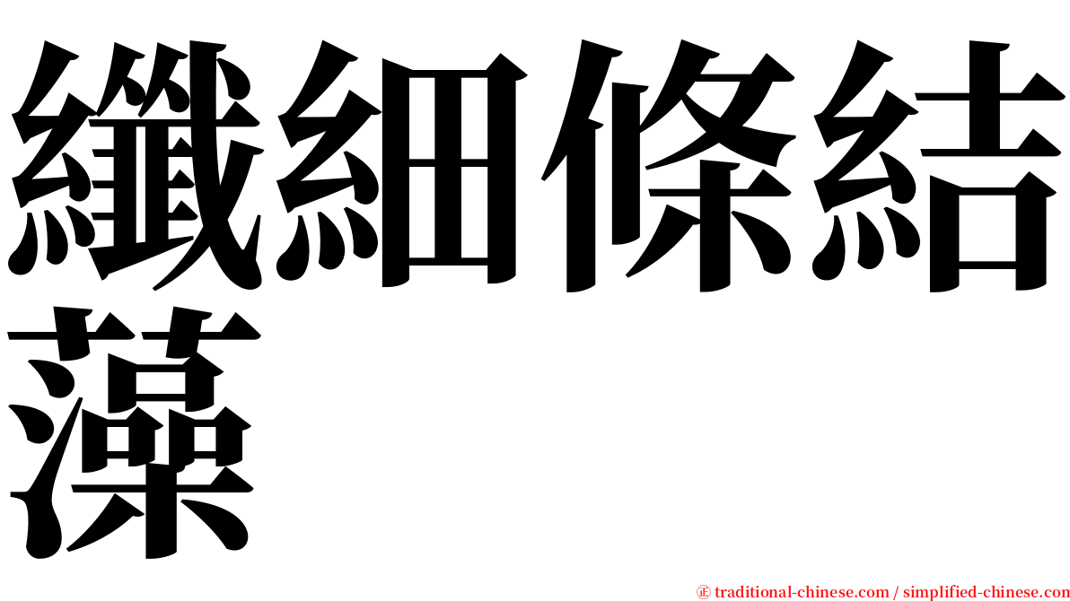 纖細條結藻 serif font