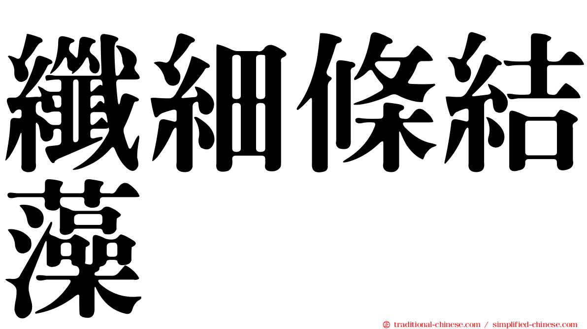 纖細條結藻