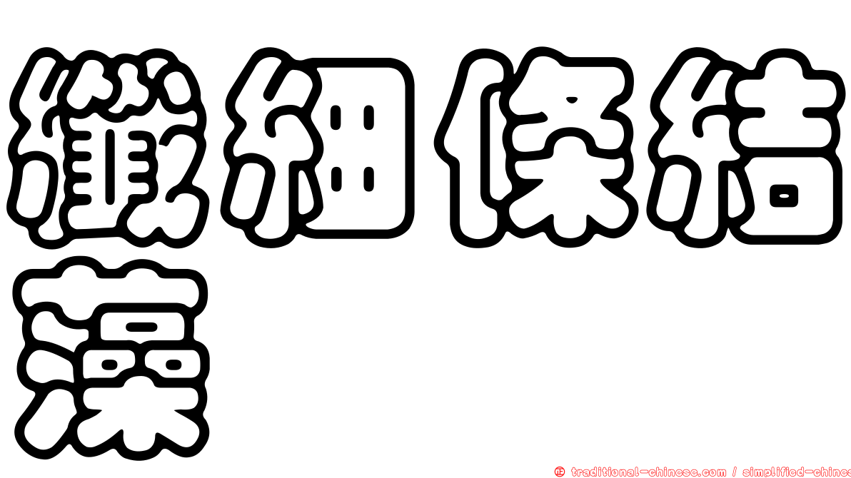 纖細條結藻