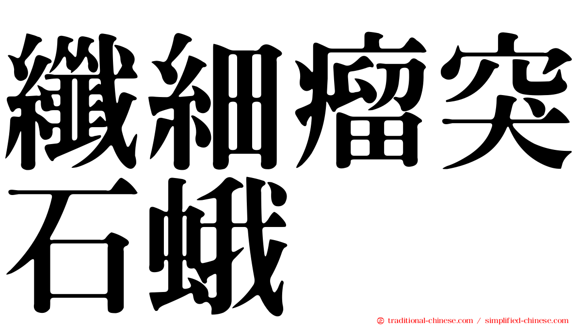 纖細瘤突石蛾