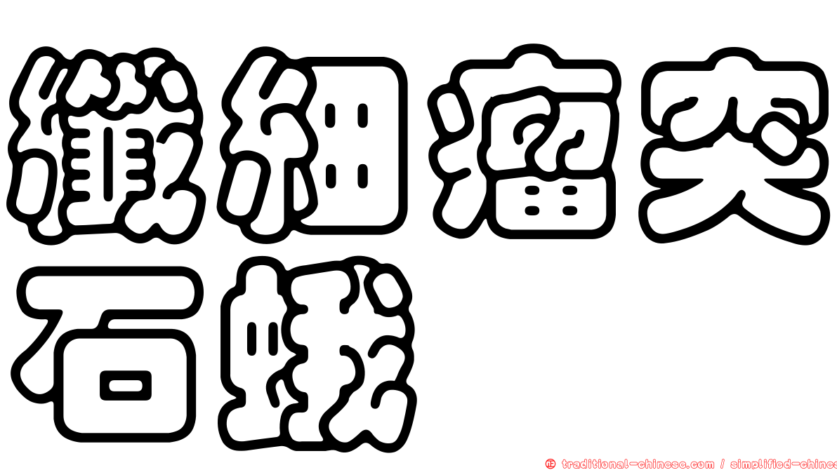 纖細瘤突石蛾