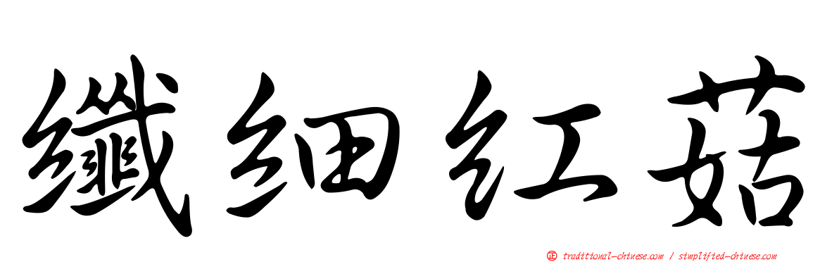 纖細紅菇