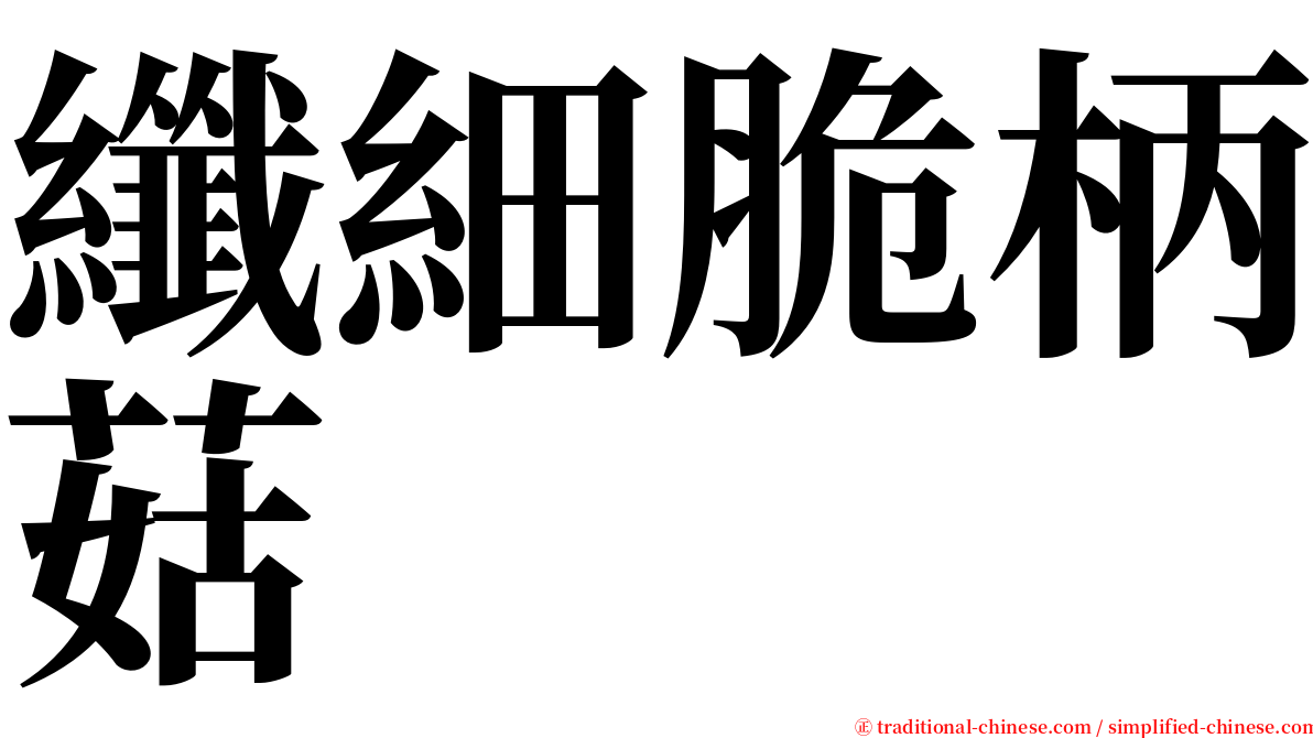 纖細脆柄菇 serif font