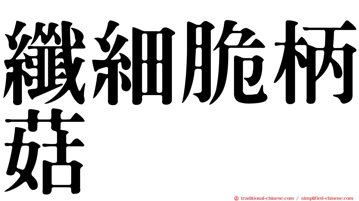 纖細脆柄菇