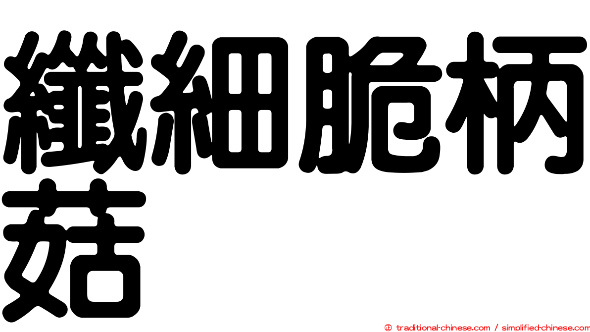 纖細脆柄菇