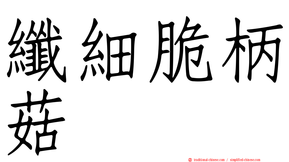 纖細脆柄菇