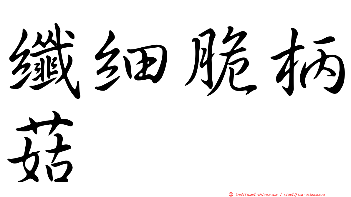 纖細脆柄菇