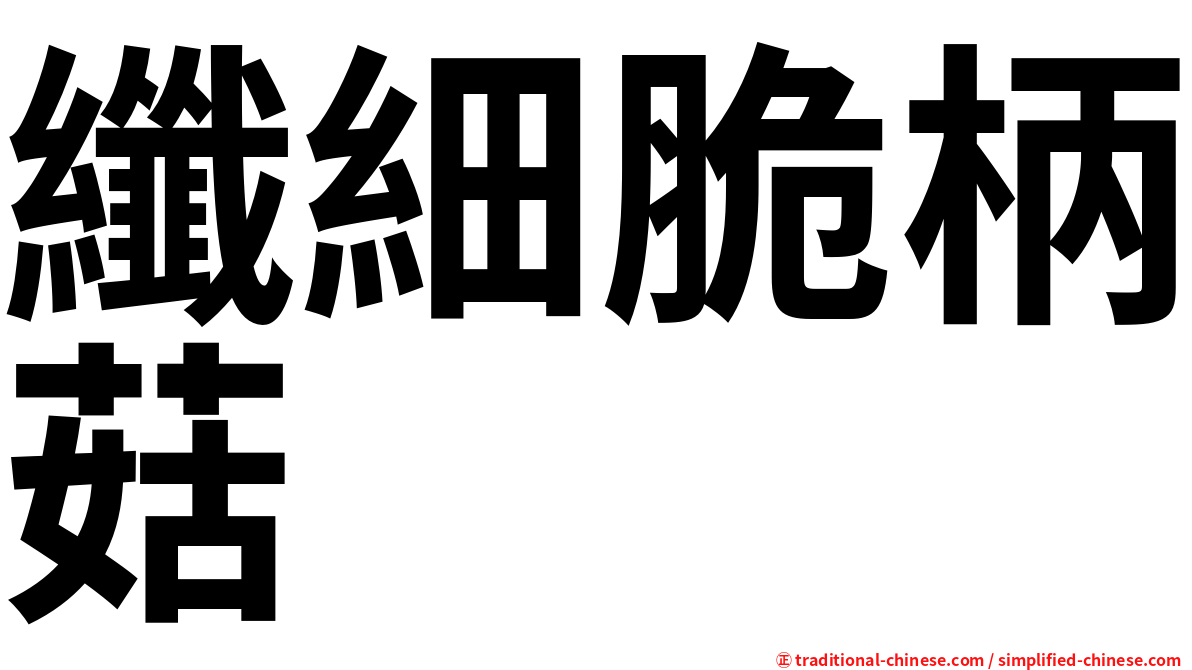 纖細脆柄菇