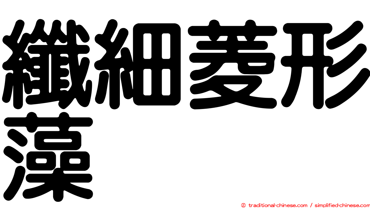 纖細菱形藻