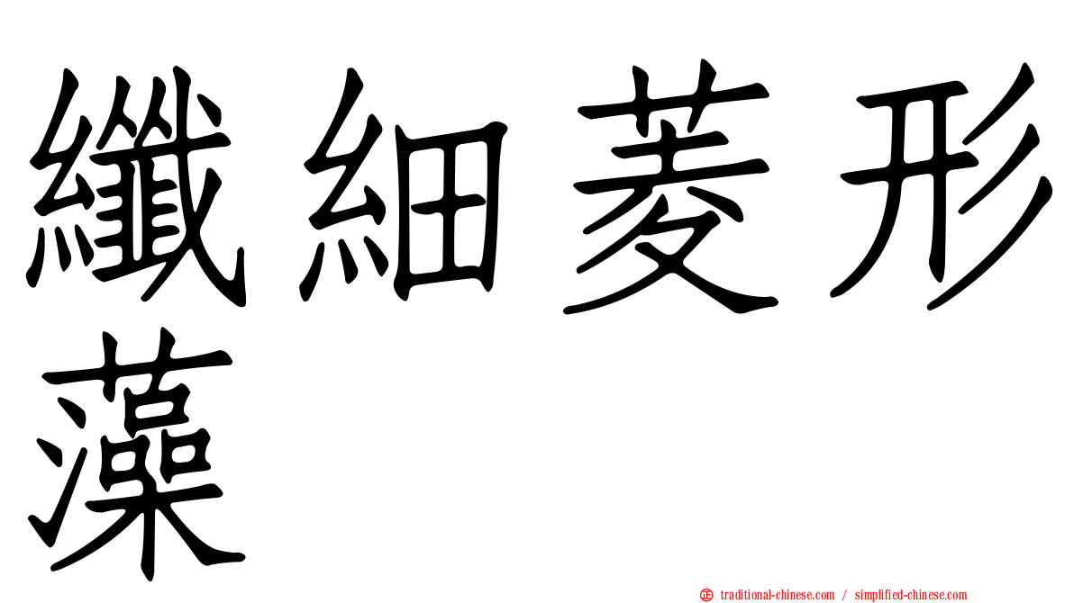 纖細菱形藻