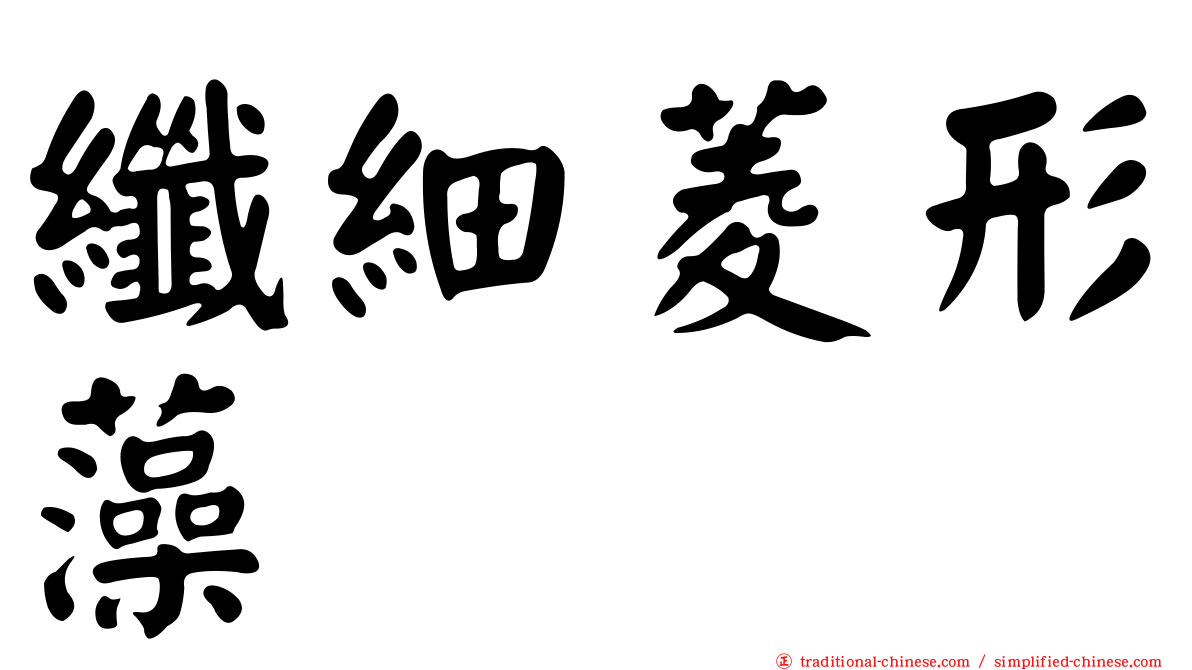 纖細菱形藻
