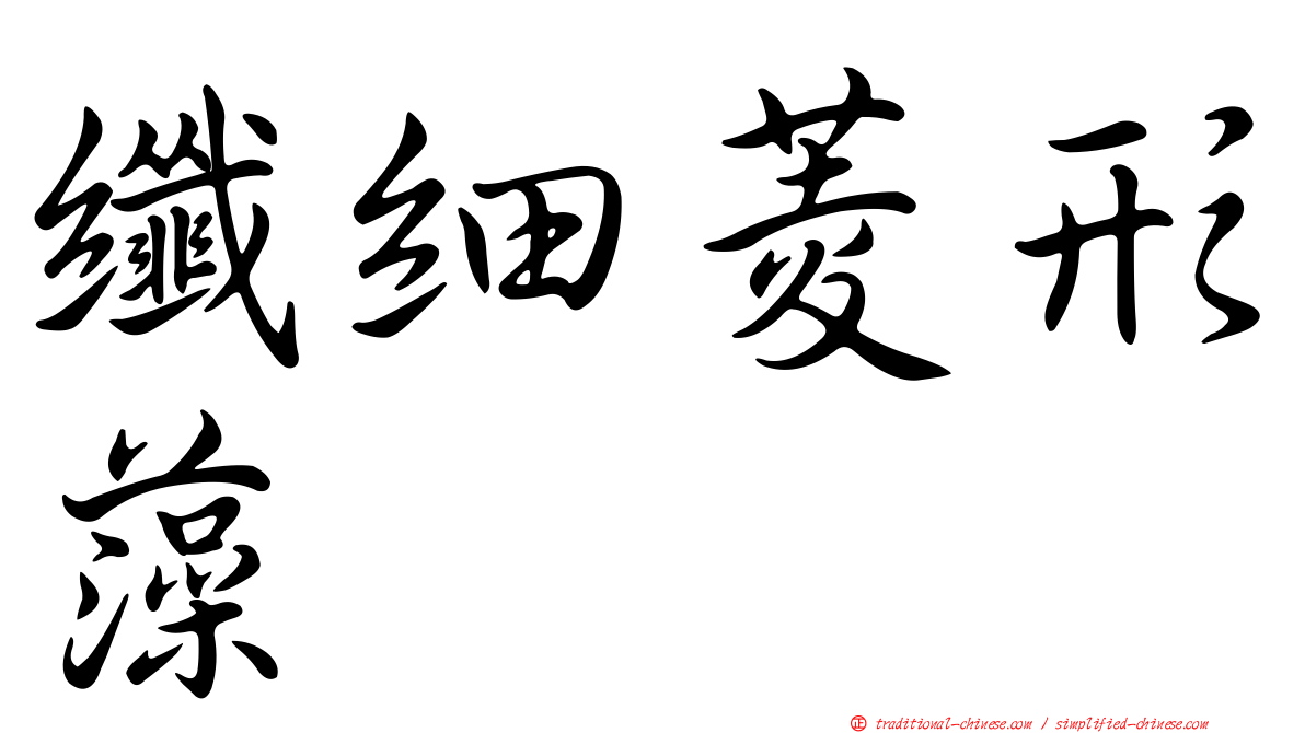 纖細菱形藻