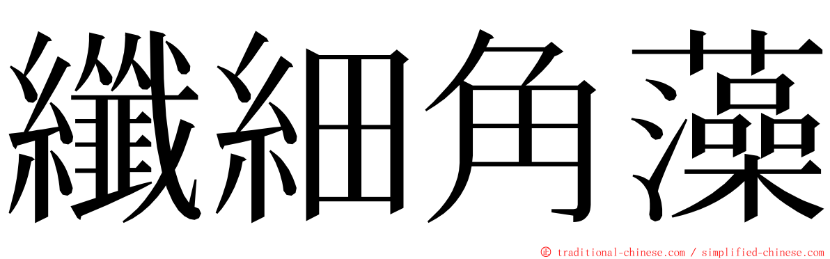 纖細角藻 ming font