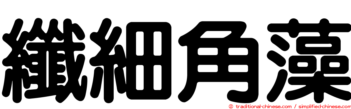 纖細角藻