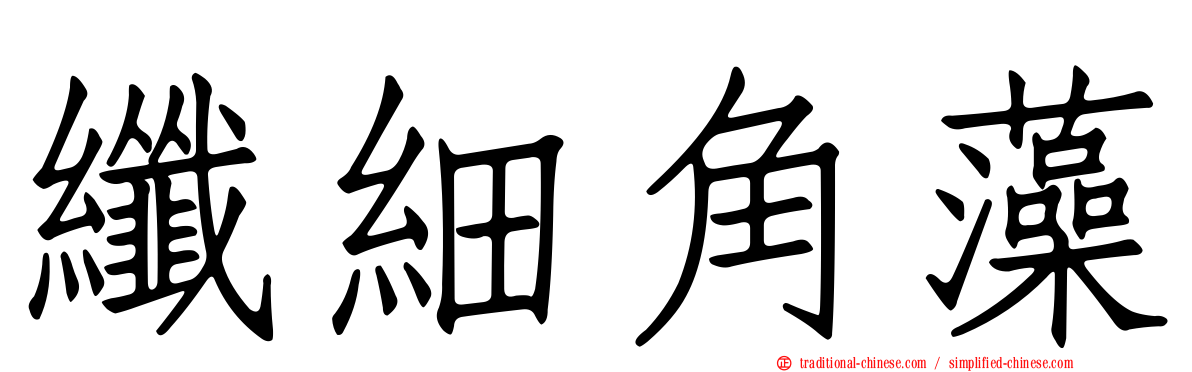纖細角藻