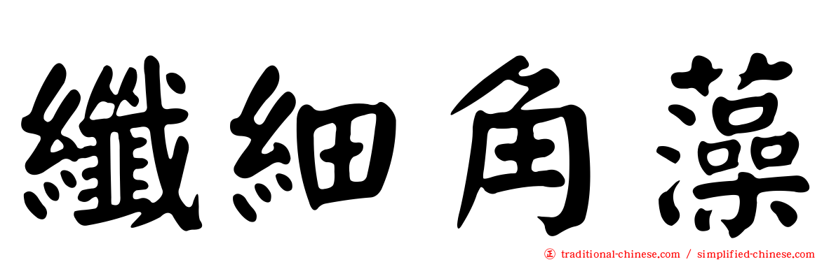 纖細角藻