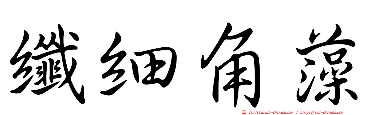 纖細角藻