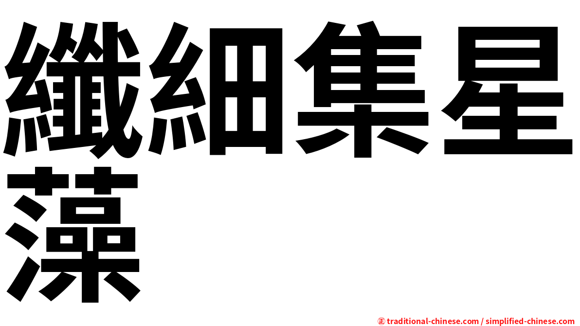 纖細集星藻