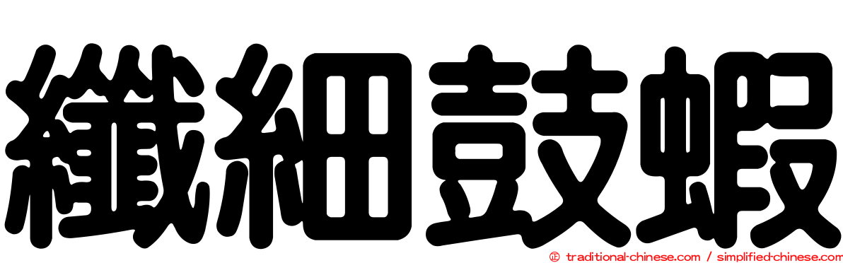 纖細鼓蝦