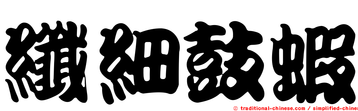 纖細鼓蝦