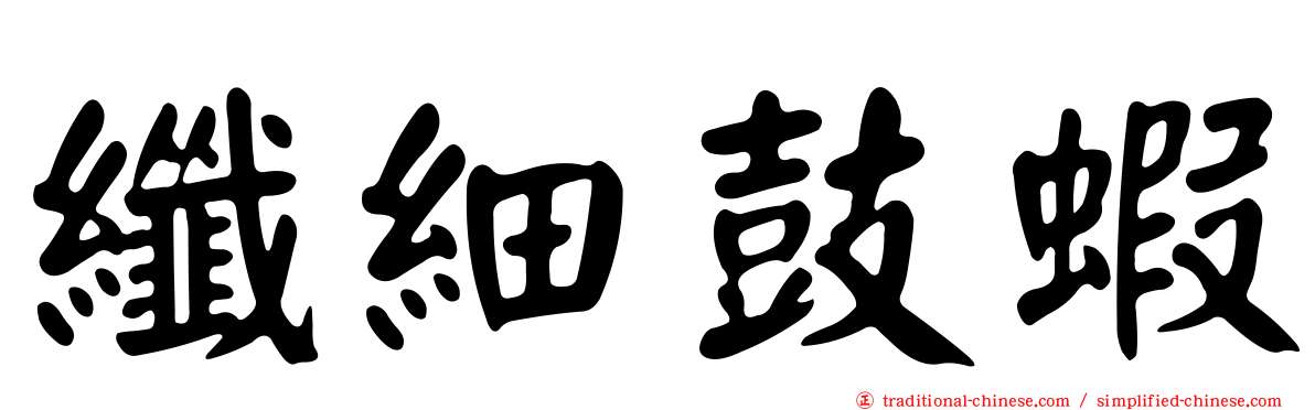 纖細鼓蝦