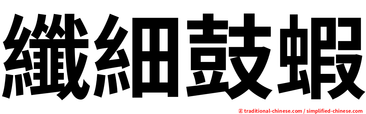 纖細鼓蝦