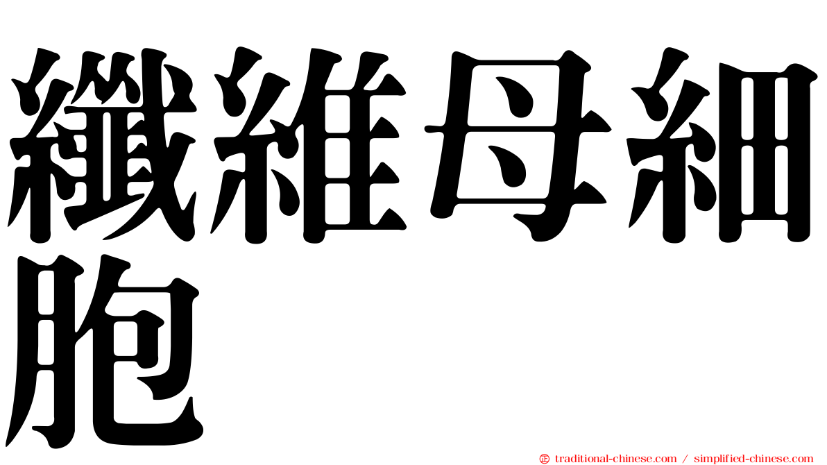 纖維母細胞