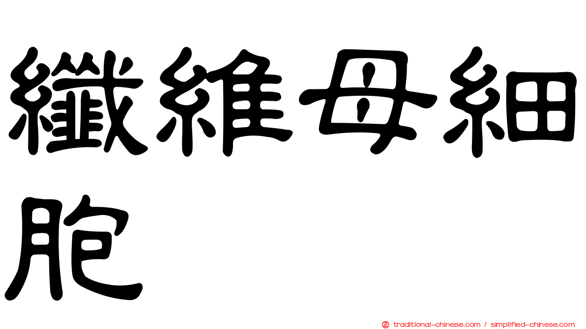 纖維母細胞