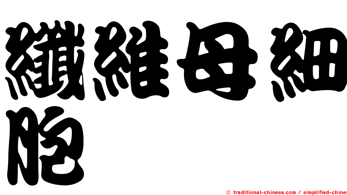 纖維母細胞
