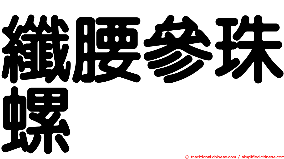 纖腰參珠螺