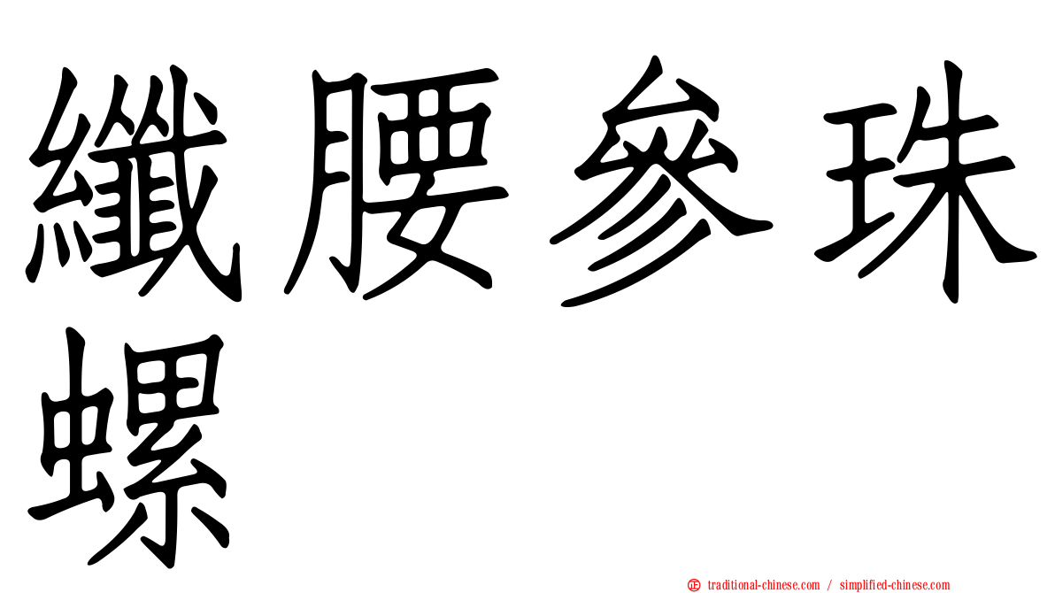 纖腰參珠螺