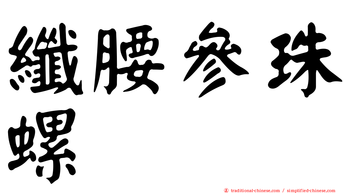 纖腰參珠螺