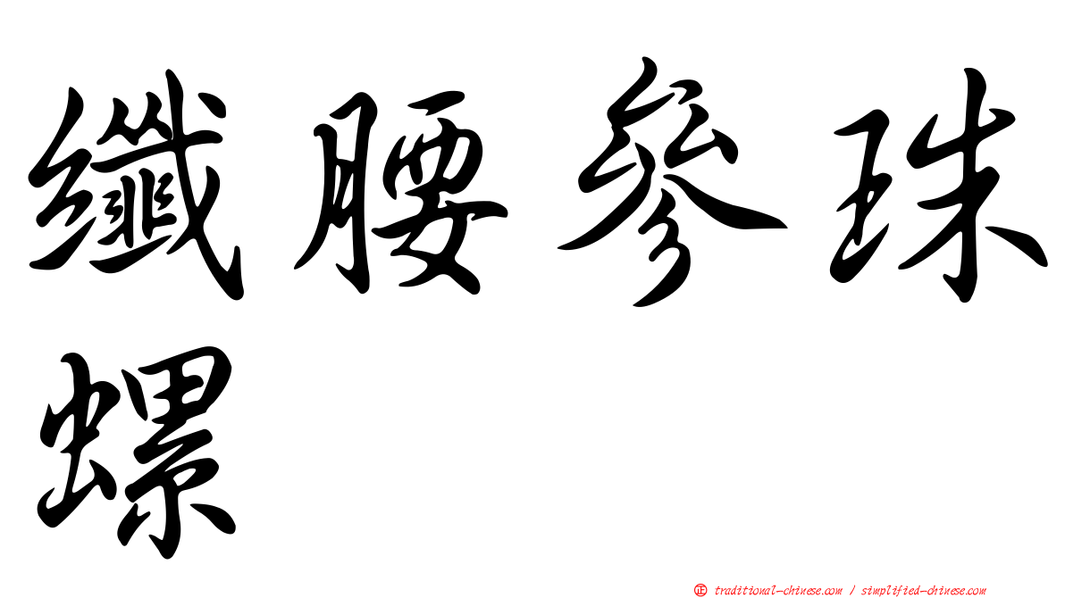 纖腰參珠螺