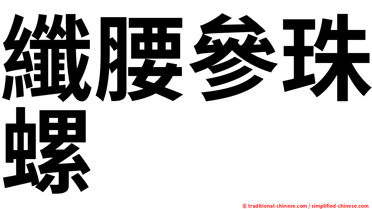 纖腰參珠螺