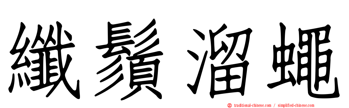 纖鬚溜蠅
