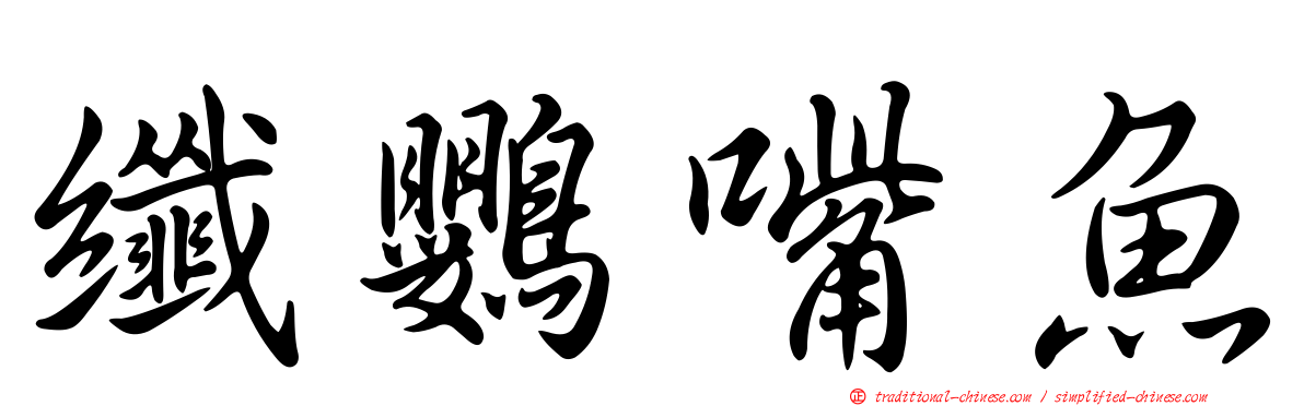 纖鸚嘴魚