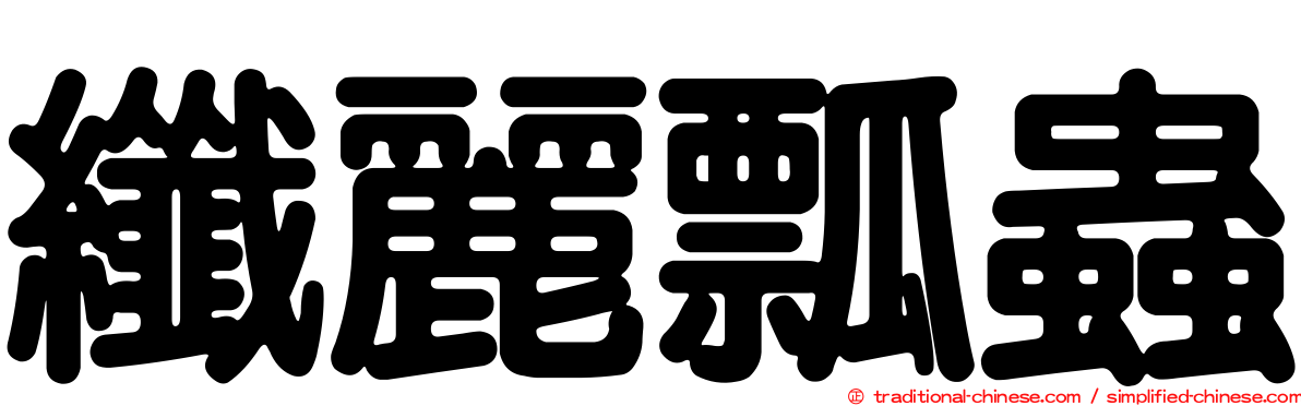 纖麗瓢蟲