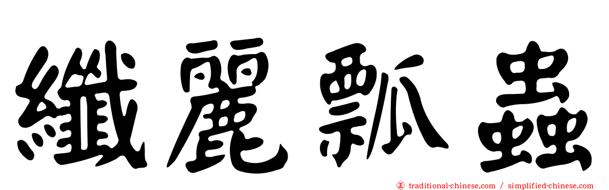 纖麗瓢蟲