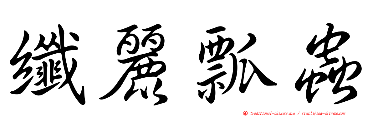 纖麗瓢蟲