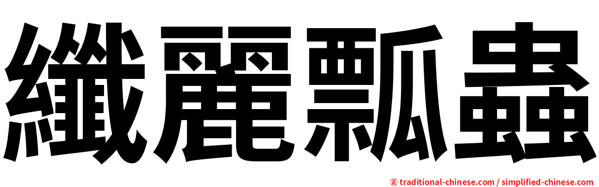 纖麗瓢蟲